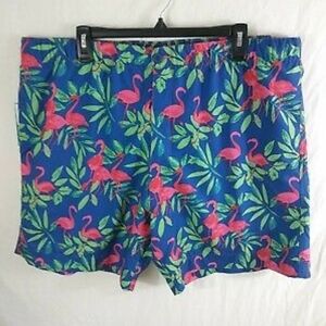 Flamingo tropical blue swim shorts